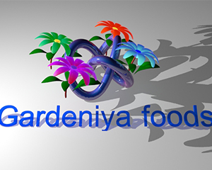 corporate 3D animation logo